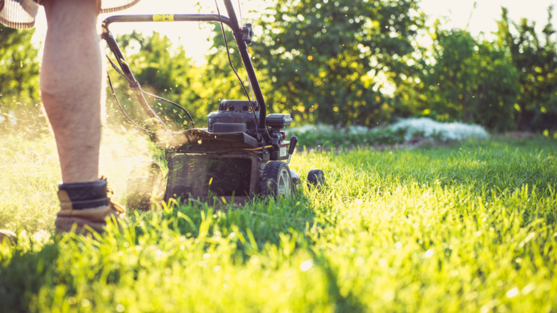 entretien du jardin maisons secondaires et locations courte durée